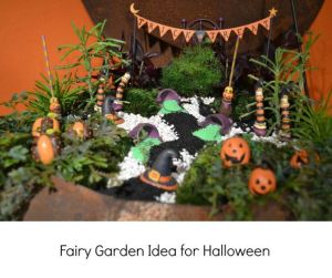 Hope whatever potion the witches were making doesn't do any nasty damage. Love the pumpkins, by the way.