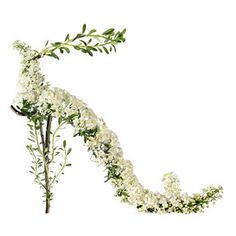 But is it wearable? Seems too delicate to try. Not sure why this exists.