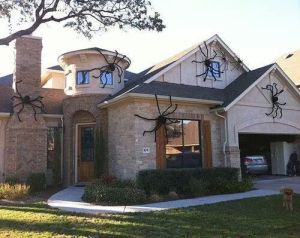 Guess whoever owns this house isn't afraid of spiders. Or heights, now that I think about it.