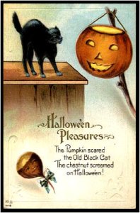 From I-Mockery: "While the cat looks frightened, the chestnut doesn't seem to be screaming. In fact, it looks quite pleased with how things worked out. My guess is that the chestnut planned this whole "scare the cat" prank. The lesson we all learned here? Chestnuts are dicks."