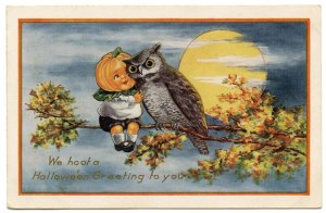 Pardon me for thinking this. But I sure as hell hope that the flustered owl rips that little pumpkin headed brat to shreds. He has it coming.
