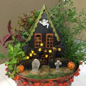 Still, I like how this person did their own haunted house and like how the plants seem to take it over. I think it's very creative.