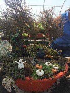 Yes, fall can be a rather windy time of year. It can also be quite rainy as well, especially in October.