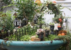 This one just looks unkempt and has decorations. Including pumpkins and a skeleton.