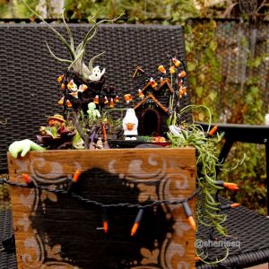 You can see how the plants dangle from the box in this one. Love the decorations.