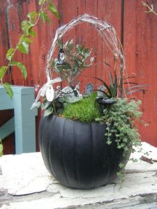 This is especially when there's a skeleton bench and grave stones. Still, if this pumpkin is real, you might need to throw it out in early November.