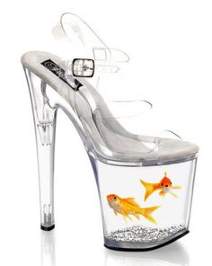 That it has two goldfish in it. Hope they were taken out after the photo shoot. Or just photoshopped on here.