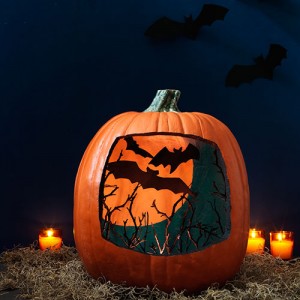 This one seems to take a view from the sky with paper bats and branches inside. Amazing.