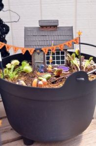 Just don't mind the Venus Fly Traps and the other weird flora here. They just eat the insects.