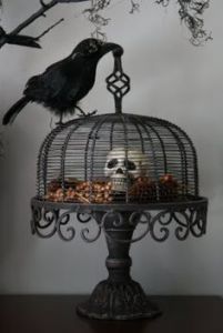 Guess the raven kept it in a cage for years. Not sure what it wants to do with it.