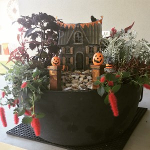 Well, at this place anyway. Though it does include a haunted house that says, "Trick or Treat." Not to mention, you have to admire the plants.