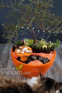 Also helps if there's a table set and a billowing bonsai tree. Love this.