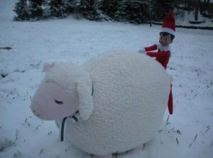 No, that's not how you treat a sheep. Bestiality is depraved and wrong for a reason. And no, the animals don't like it.