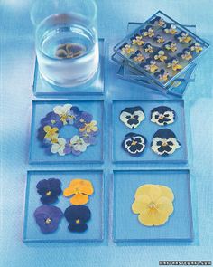 Actually you can make glass coasters with any flower. It's just these are with pansies.