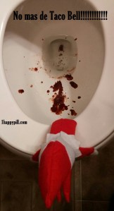 Okay, that's really disgusting. But I'm sure it can be easily flushed away. Yeah, he's got diarrhea real bad.