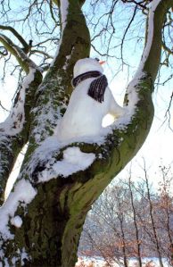 What's he hiding from? What's he doing up there? And when will he get down?