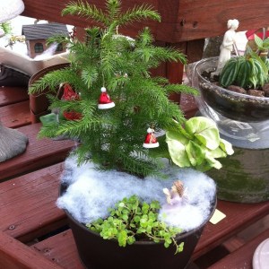 And this is all what this garden has for Christmas decorations. Well, there's still cotton snow though.