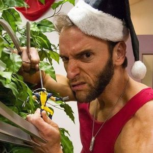 Because he doesn't like when you mess with it. Still, wonder how he decorates his tree when he has his claws out. Besides pruning it.