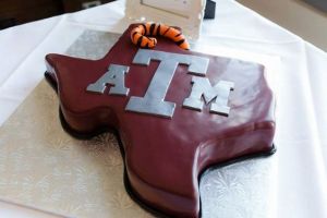 I suppose the tiger tail symbolizes them crushing Auburn. Guess they're in the same conference.