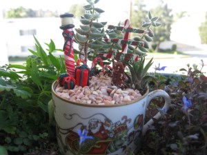 This is of the tea cup garden variety which is small. Still, like the candy cane lamp post.