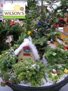 You can even have a wreath on the tool shed. Still, it must be beautiful when it's lit up at night.