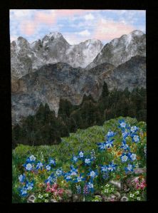 This one even has blue flowers on a hillside. Love the background though.