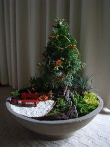 Well, this one isn't as nice as the others I've shown. But it's pretty enough.