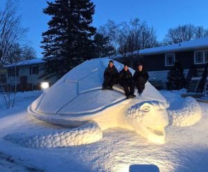 Well, you can surely climb aboard this large snow turtle. You read that right. Nevertheless, it's incredible.