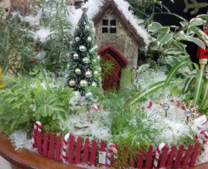 A tree decked in baubles also helps as well. So does having it covered in snow.