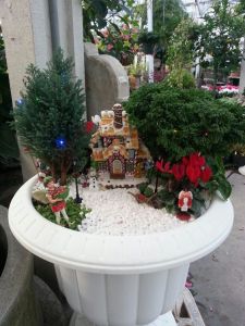 This one has trees side by side that have lights in each of them. For all I can say, this is beautiful.