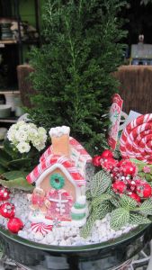 This one is surrounded by candy canes and holly berries. Like the gingerbread man.
