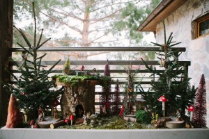 You just have to look closer just to get my drift. But it certainly resembles a fairy tale forest.