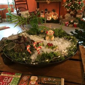 The lights on this one seem to be rather small. Makes me wonder about what bulbs they get if any of them go out.