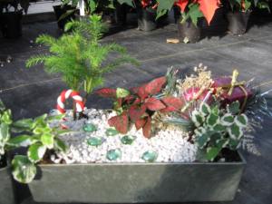 This one also has a few decorations on it as well. But the lone candy cane stands out.