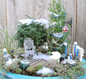 This one also has blue star signs like the last one. But this garden includes snow and a lawn chair.