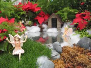 This one uses poinsettias that make an ideal Christmas garden addition. And not just miniature ones either.