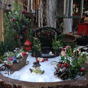 Now this is a garden with all the Christmas trimmings. All it needs is a decorated tree and it's all set.