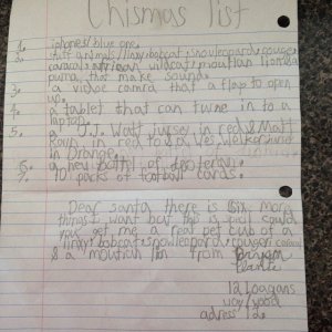 I'm sure this kid will be very disappointed on Christmas. Because a real cub for Christmas is worse than a puppy. For the love of God, they grow up to be fierce wild cats. Maybe a stuffed one would be better.