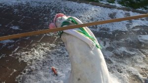 Getting under a limbo stick is tricky. But it's especially difficult if you're made of snow.