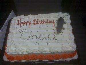 So what are those black things on the cake? Fleas? Droppings? Please let them be sprinkles for God's sake.