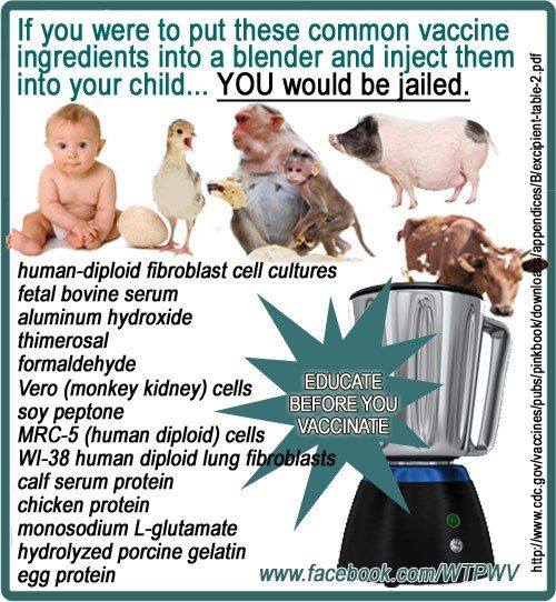 10487280_765582663485451_7250241425074653199_n