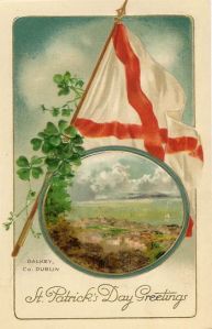 Okay, I had to look this flag up on Google. According to a historical flag site, it's the Saint Patrick's Cross flag used by the Irish National Corporate Party of the 1930s known as the "Greenshirts." And it was an openly fascist organization. So though it's seen as a traditional Irish flag before then, it hasn't been used in Ireland since.