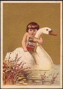But please treat yourself to this naked kid about to strangle a swan with bare hands. Hey, that's what it looks like to me.