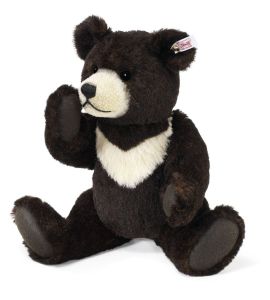 I know it's a certain bear but I can't put my finger on it. But I know it's not a black bear because they're usually all black.