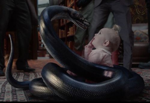 419366cce025807fef93d3dbbaa7cce8