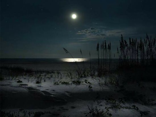 952a72d0b63e596bb2cbb2e8ac381a00