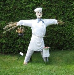 3b966f0210fd935a8b73a8d55417a5d0