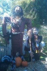 3cc3f9c21958fe844ab1daa321815dbc