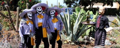 banner-home-sombreros-1