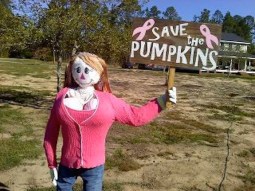 breast-cancer-authority-garden-scarecrow-ideas